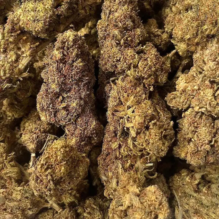 the ripper - flor