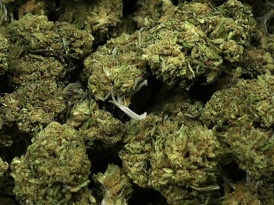 BIG SKUNK FLEUR DE CBD