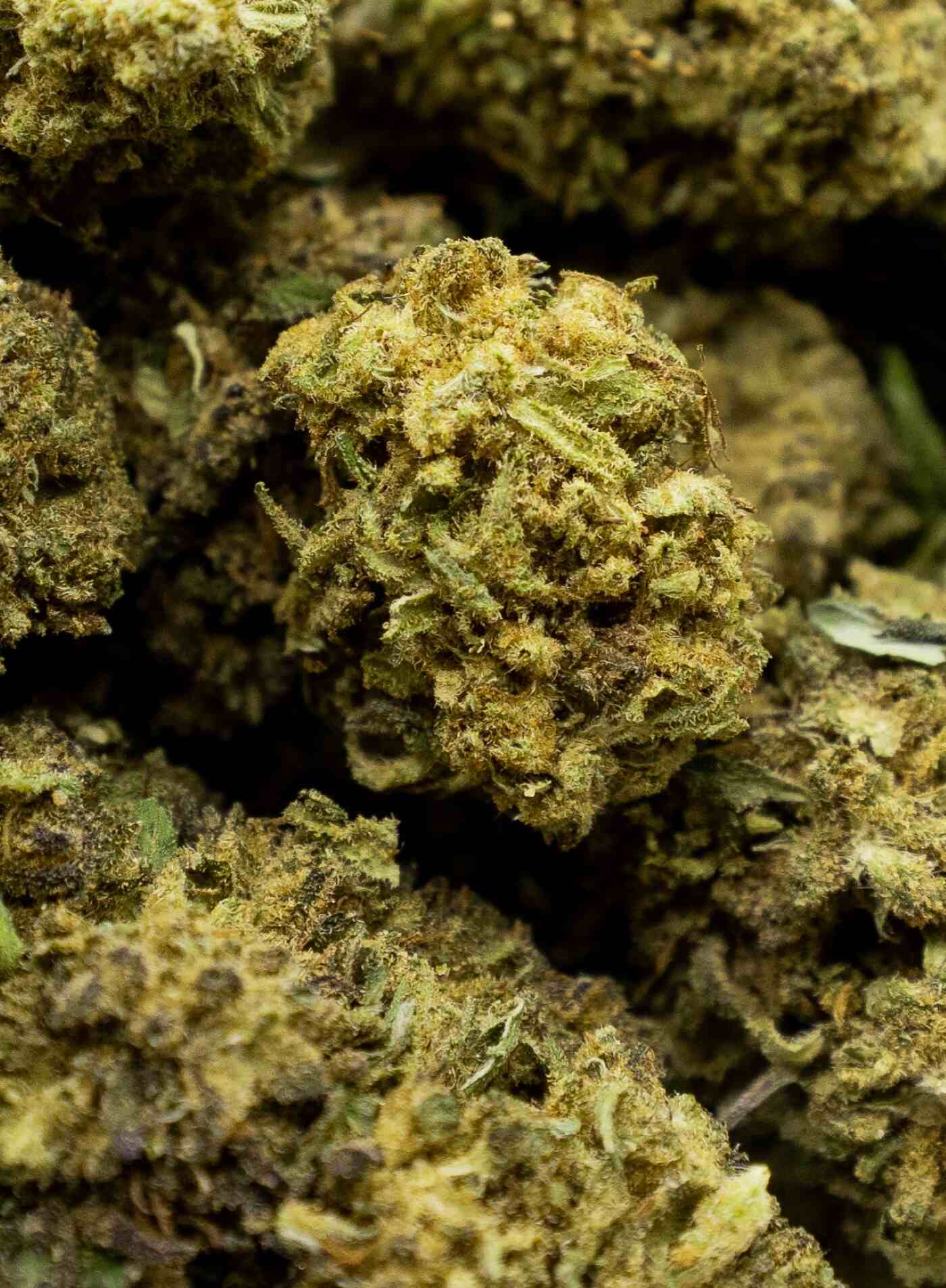 Big skunk CBD