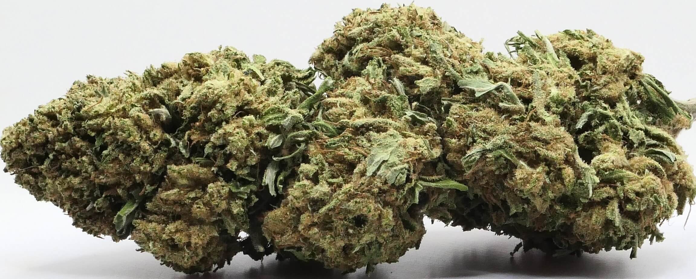 BIG SKUNK FLEUR DE CBD
