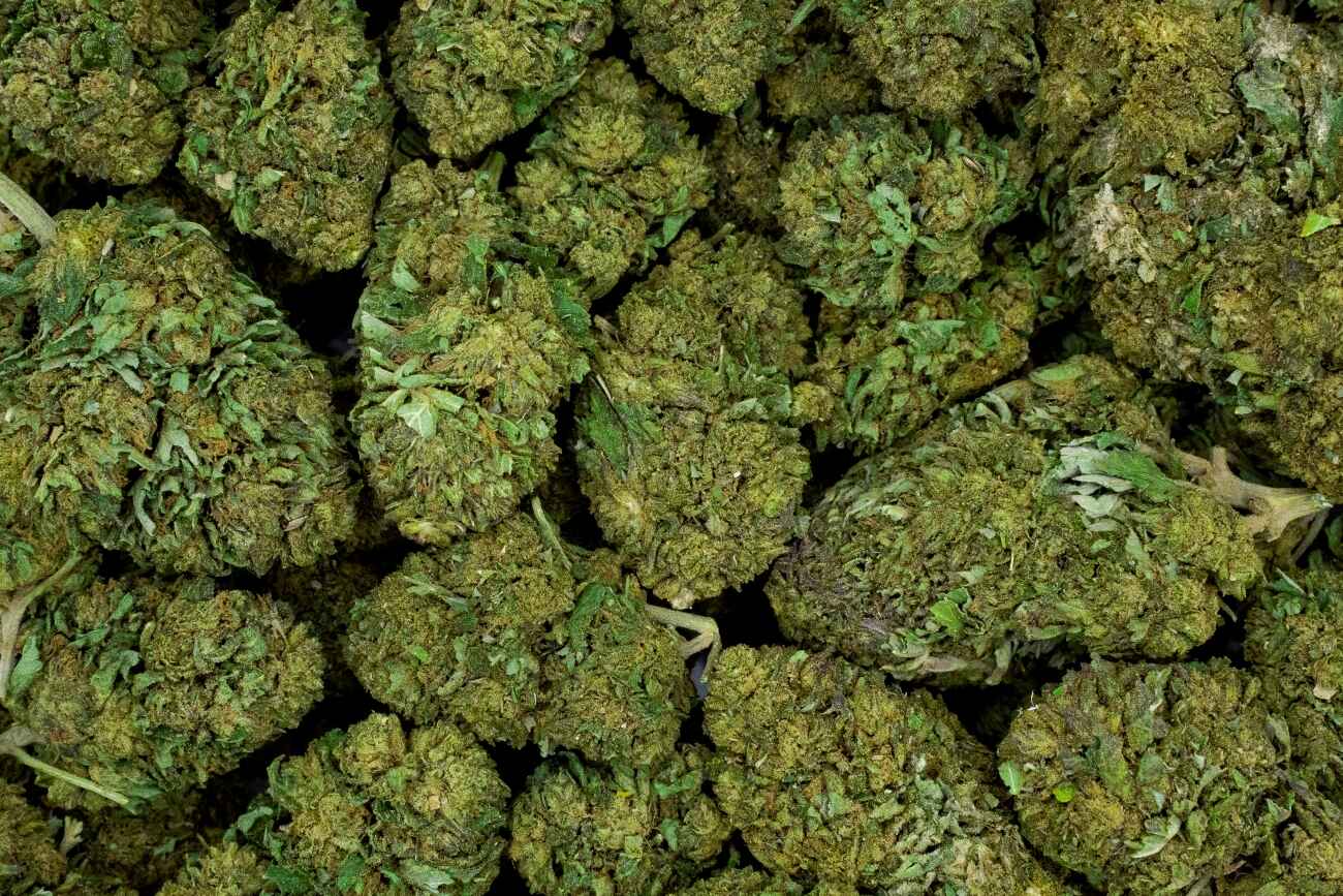 Amnesia CBD-tartalmú rügyek