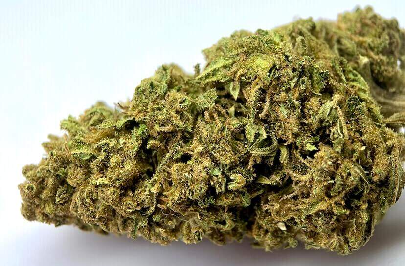 WITTE WEDUWE CBD