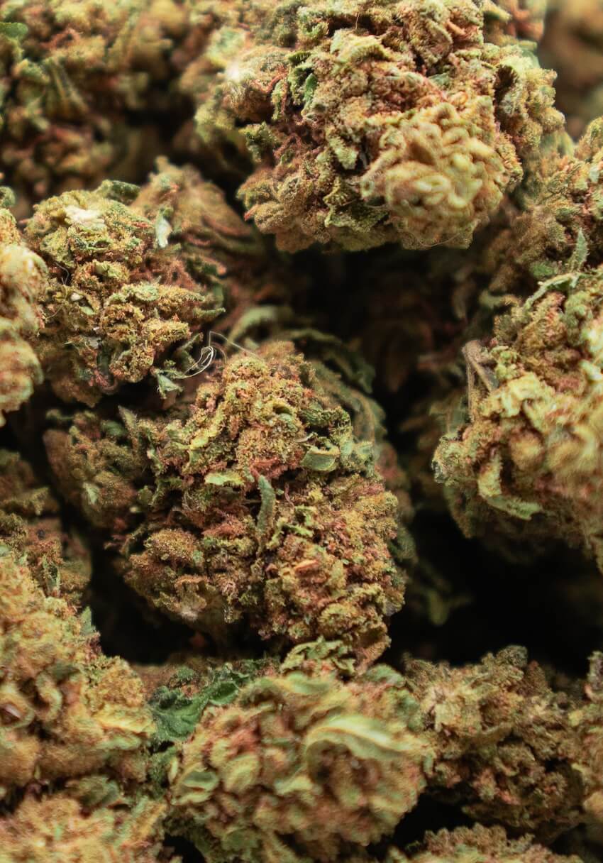 White Widow CBD