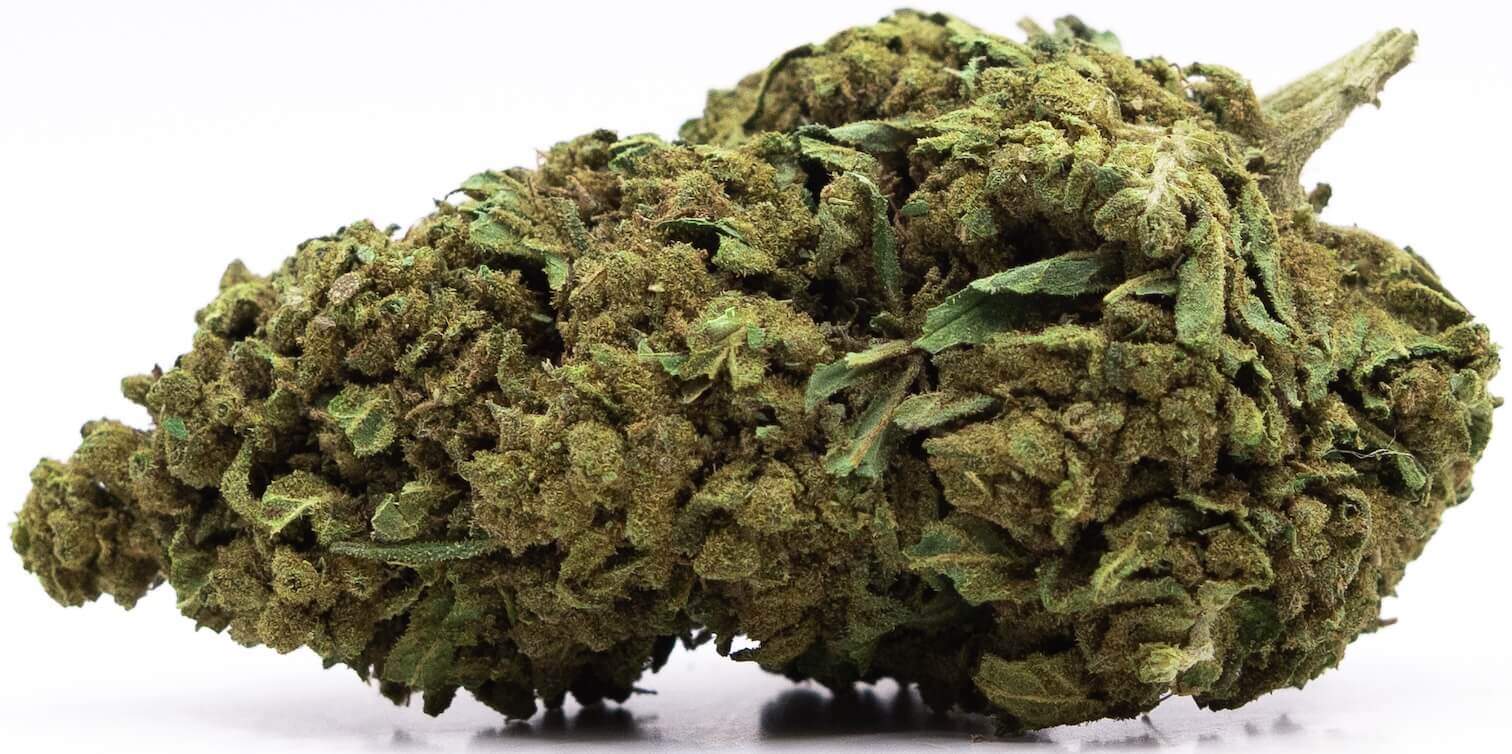 White Widow CBD-bloemen