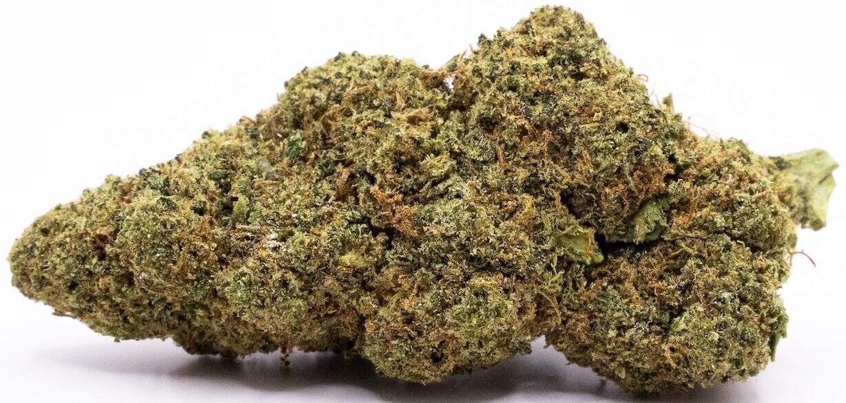 bubblegum gelato bud