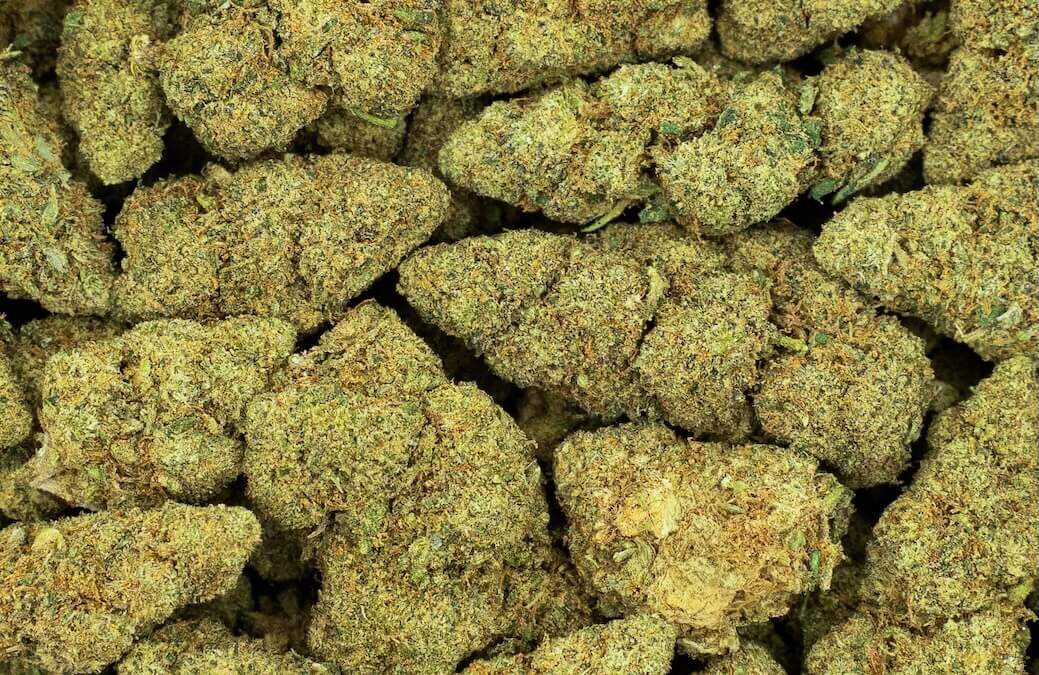 bubblegum gelato knoppen