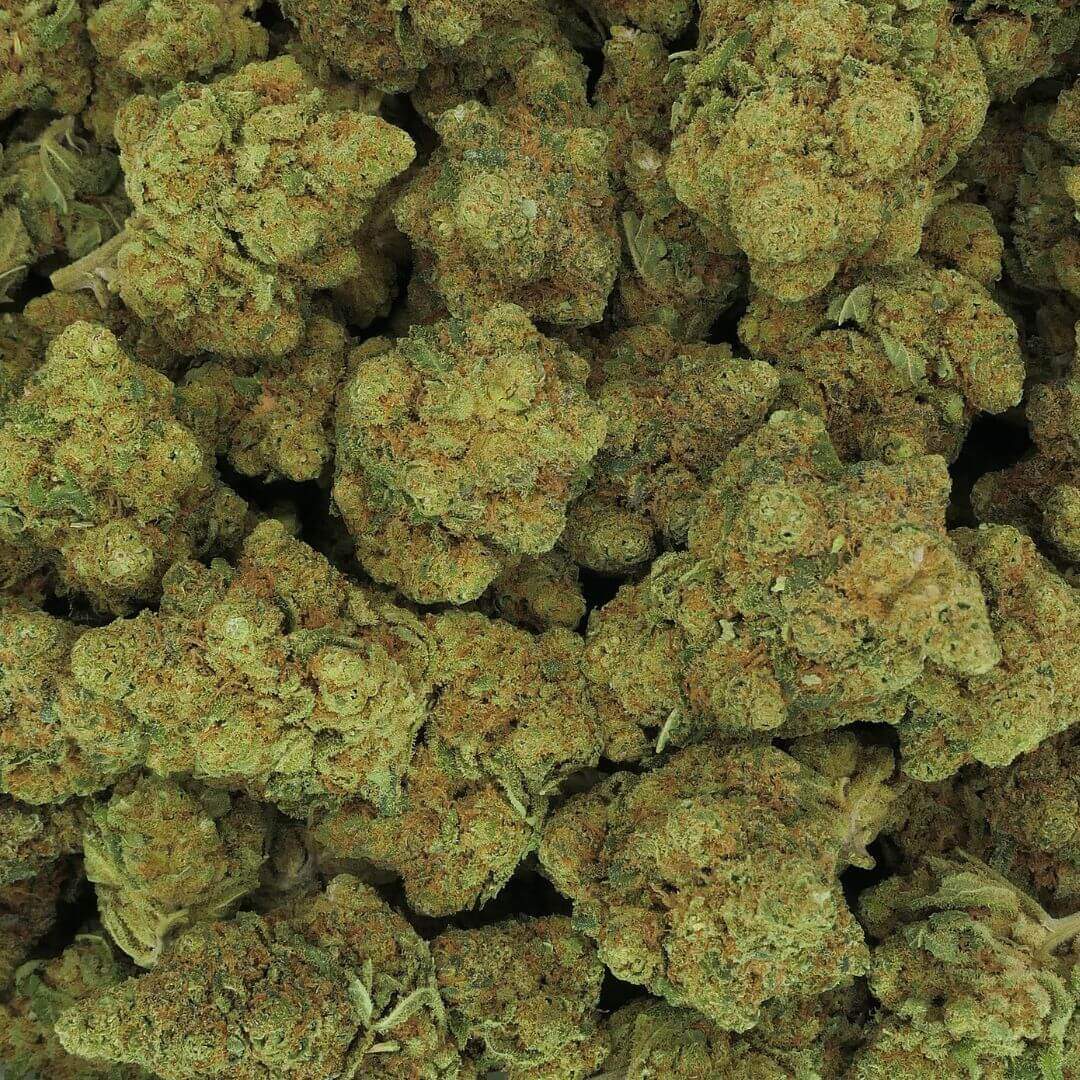 RS11 - FLEUR - HYDRO