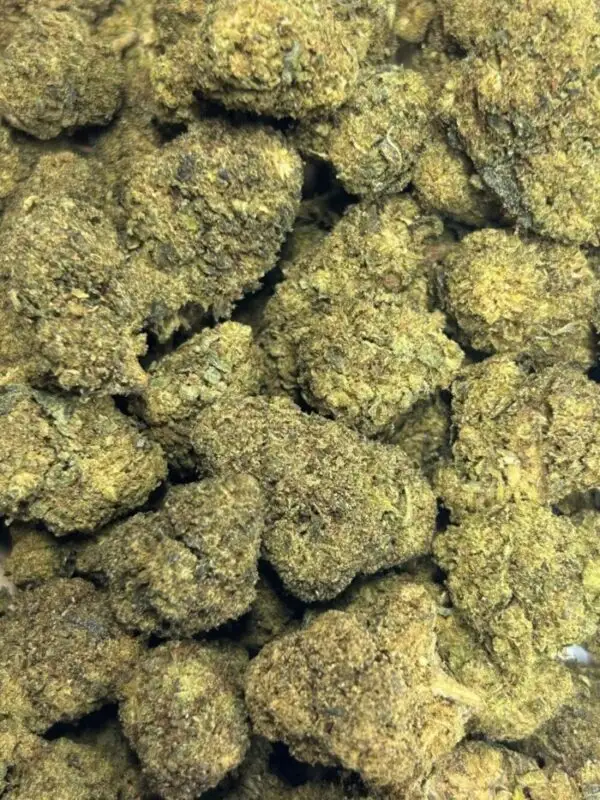 Alien Haze Fleurs de H3CBN