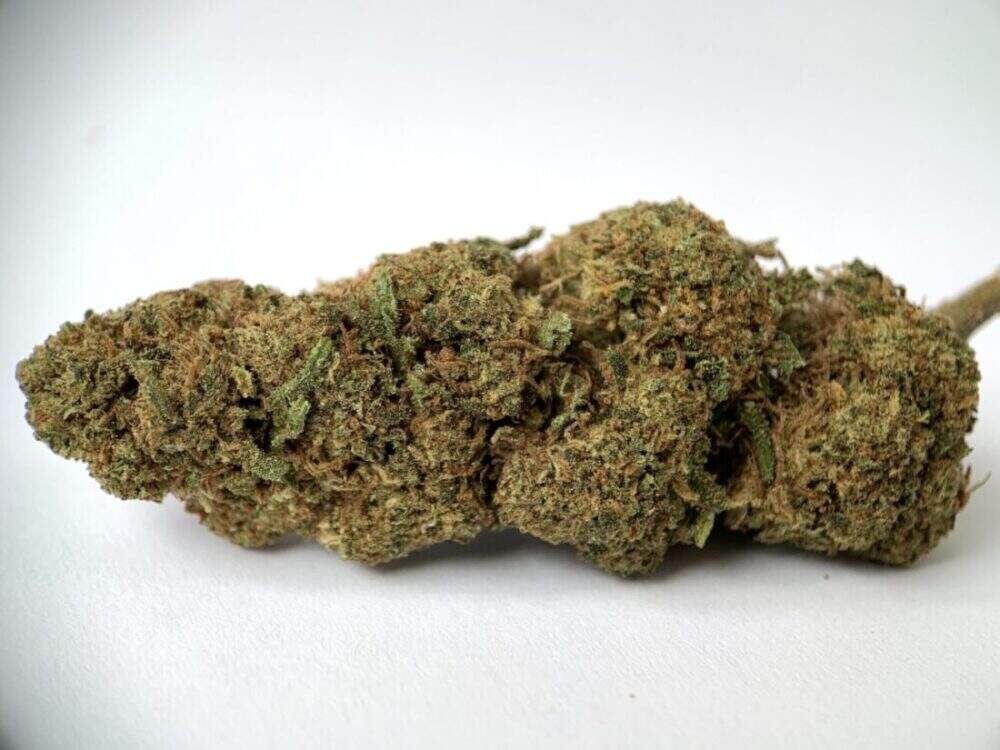 Banana moon fleurs de CBD cannabis