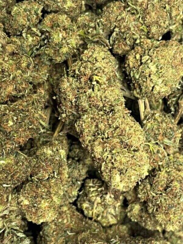 Kings Juice fleur HHCPO