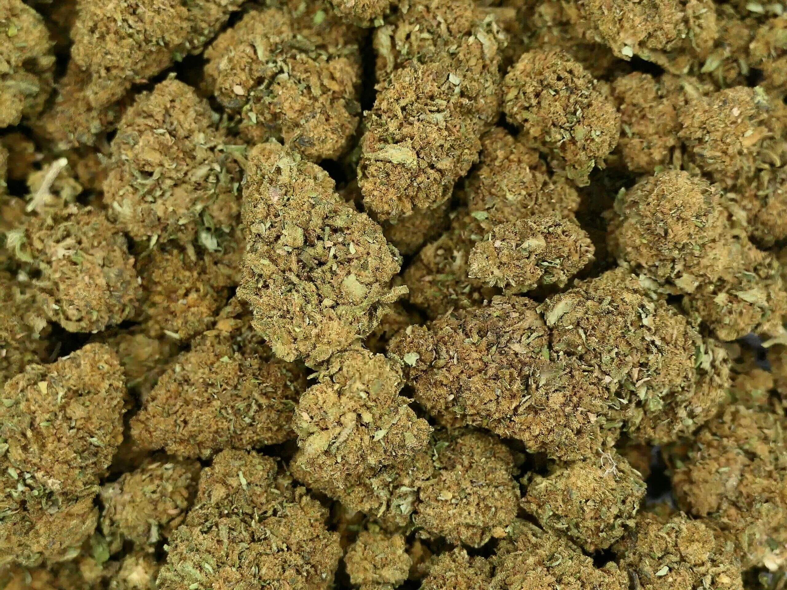 SUPER ROYAL HAZE SUPER ROYAL HAZE FLEIR DE CBD