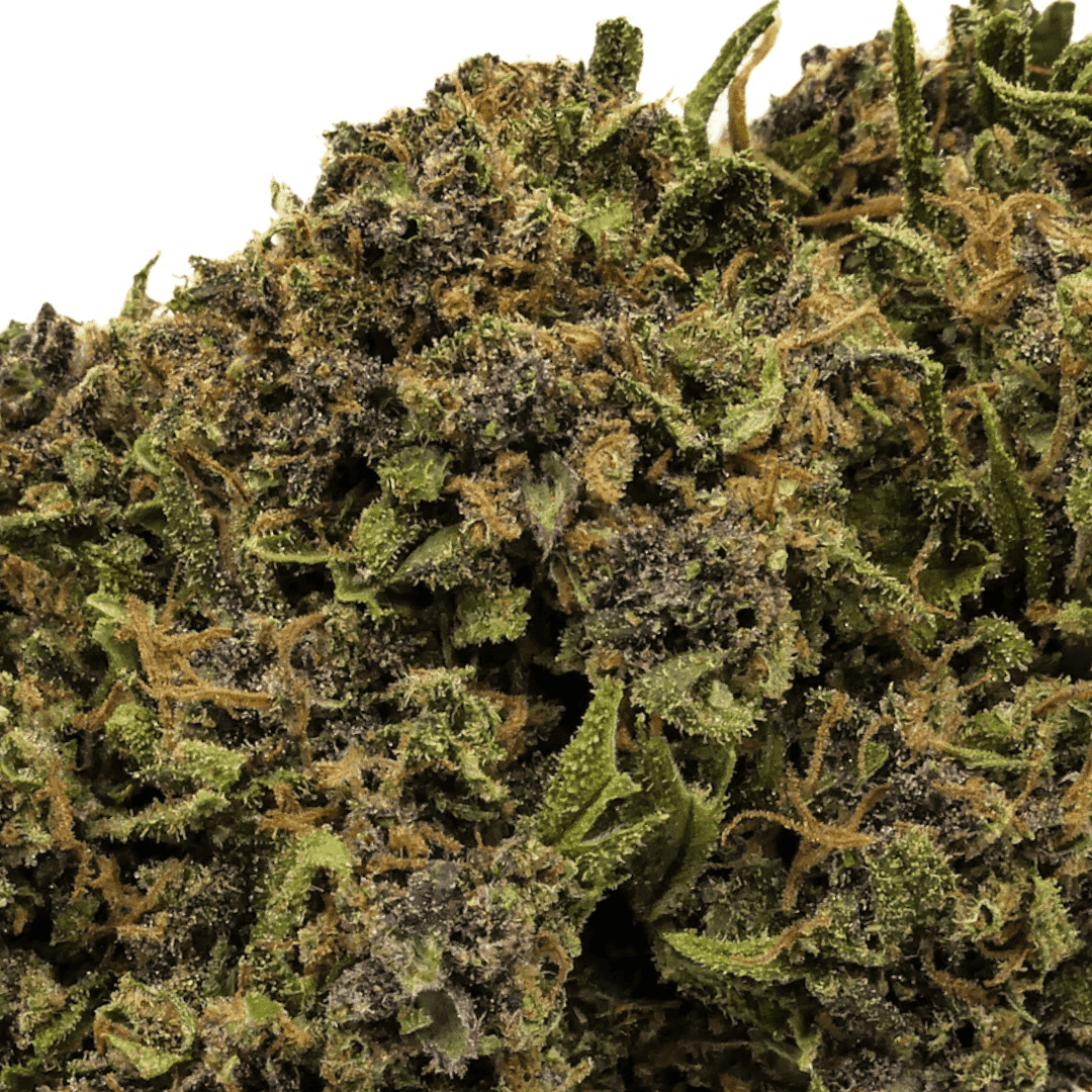 PURPLE RAIN - FLEUR CBD PURPLE RAIN - FLEUR CBD