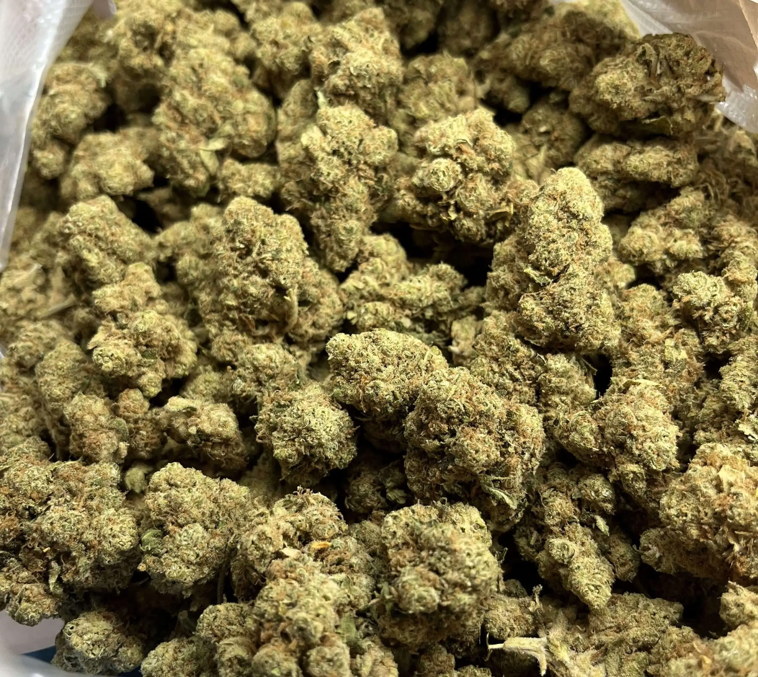 Big Daddy fleurs hydroponique de chanvre