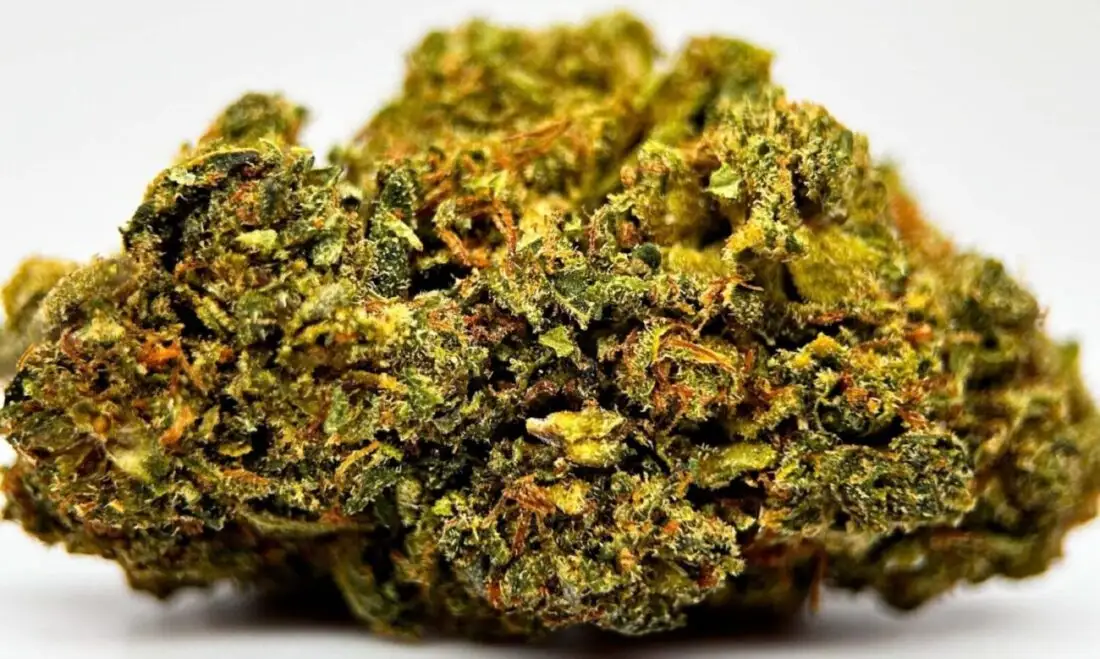 Sunset Runtz hhcpo Sunset Runtz hhcpo