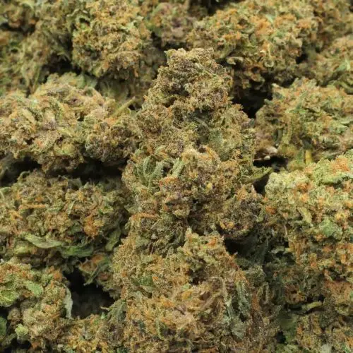 CAKE POUNDER - FLEUR - 10 OH HHC CAKE POUNDER - FLEUR - 10 OH HHC