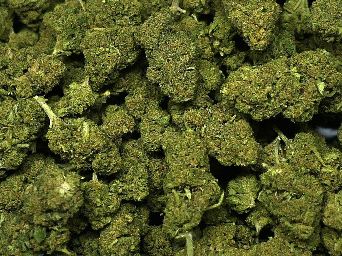 CANDY OG FLEUR DE CBD