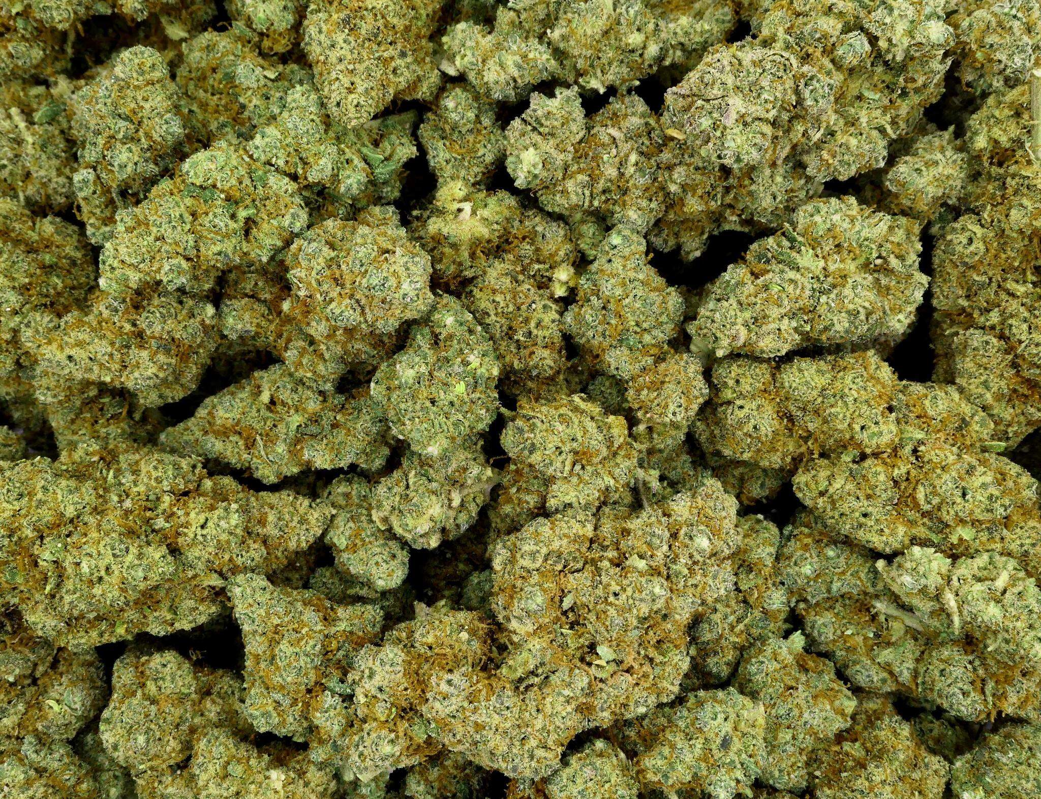 SUPER SILVER HAZE FLEUR DE CBD HYDROPONIQUE