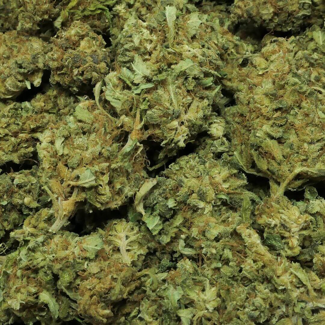 LEMON HAZE - FLEUR CBD