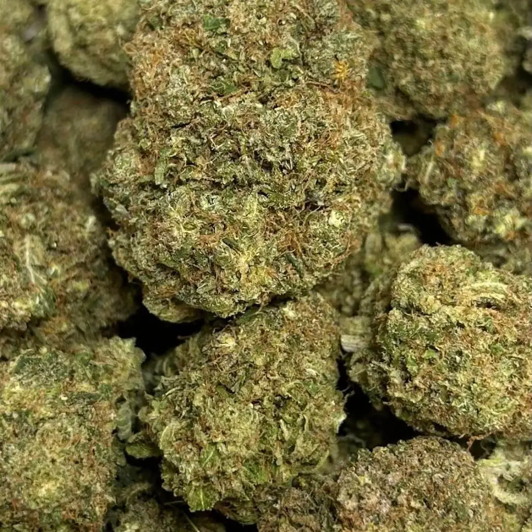 BLUEBERRY KUSH - FLEUR - CBD BLUEBERRY KUSH - FLEUR - CBD