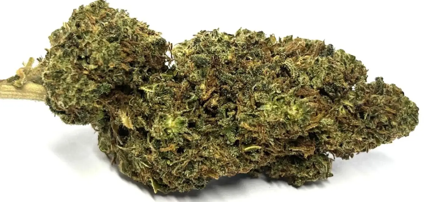 hawaiian Kush Hawaiian Kush Fleur thcp