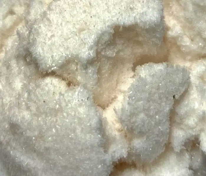 isolat cbg isolat cbg